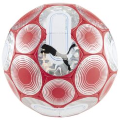 PUMA Fodbold Cage - Rød/Puma Silver/Blå