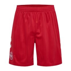 Danmark Udebaneshorts 2026/27