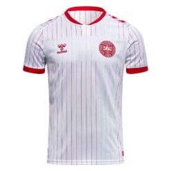 Danmark Udebanetrøje 2026/27 Pro
