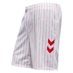 Danmark Udebaneshorts 2026/27 Pro