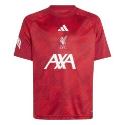 Liverpool Trænings T-Shirt Pre Match - Rød/Bordeaux Børn