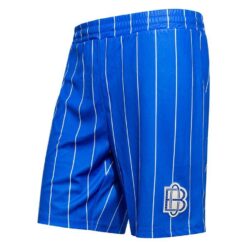Odense Boldklub Træningsshorts Pre Match - Blå Børn