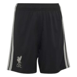 Liverpool 3. Shorts 2026/27 Børn